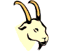 astrology sign - capricorn