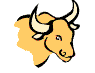 astrology sign - taurus