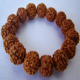 lucky charm Rudraksh bracelet