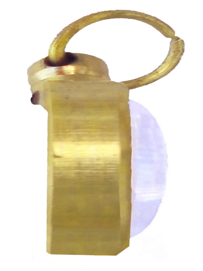 Astrological Serpent Pendant Amulet