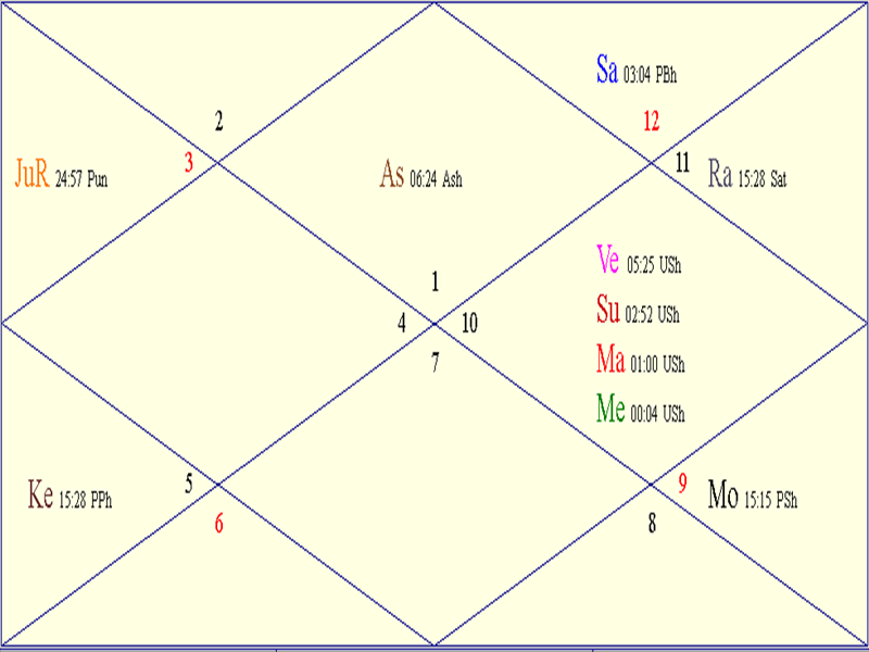 Horoscope Chart for Chinese New Year