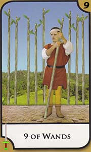 Nine of Wands