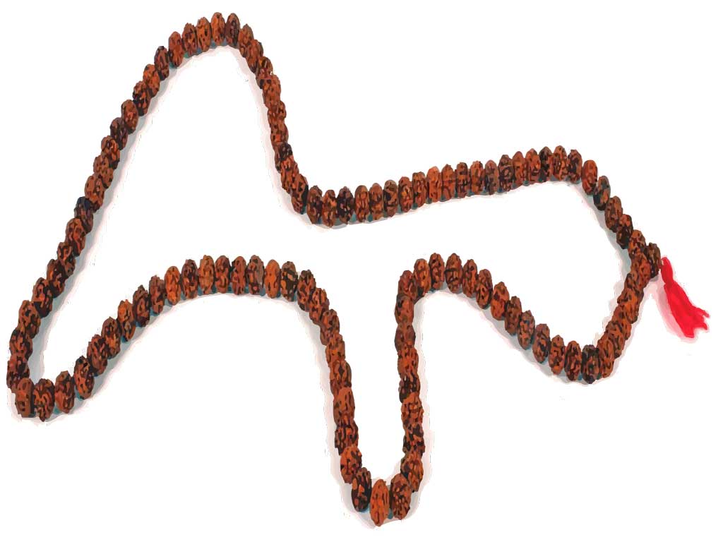 Real Rudraksh Prayer Beads