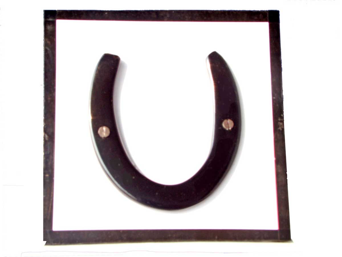 Lucky Horseshoe